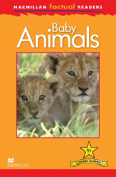 Macmillan Factual Readers: Baby Animals (Poziom 1+)