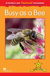 Macmillan Factual Readers: Busy as a Bee (Poziom 1+)